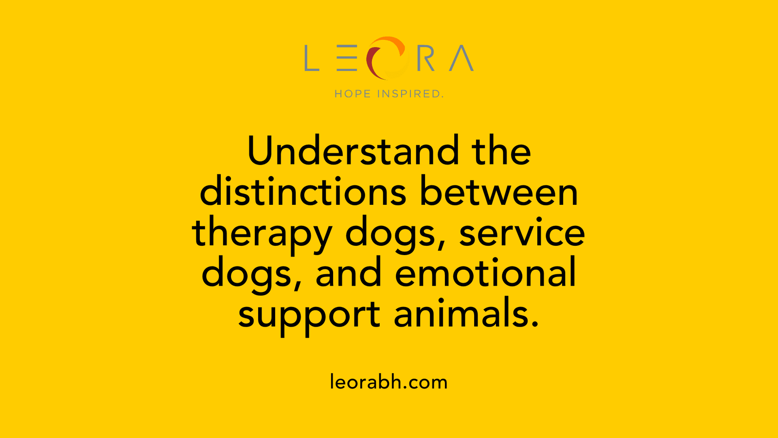 Understand the distinctions between therapy dogs, service dogs, and emotional support animals.