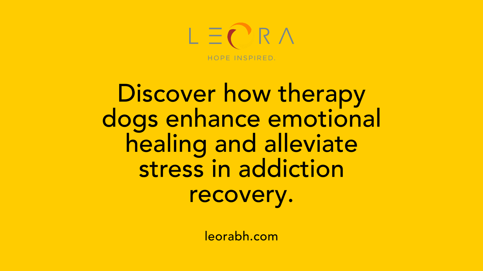 Discover how therapy dogs enhance emotional healing and alleviate stress in addiction recovery.