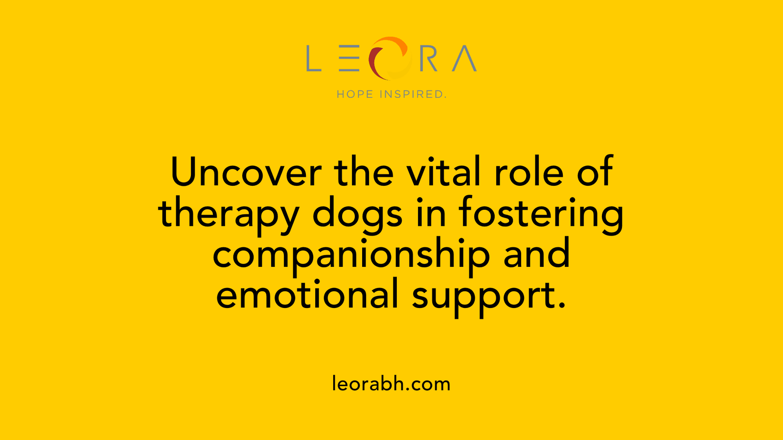 Uncover the vital role of therapy dogs in fostering companionship and emotional support.