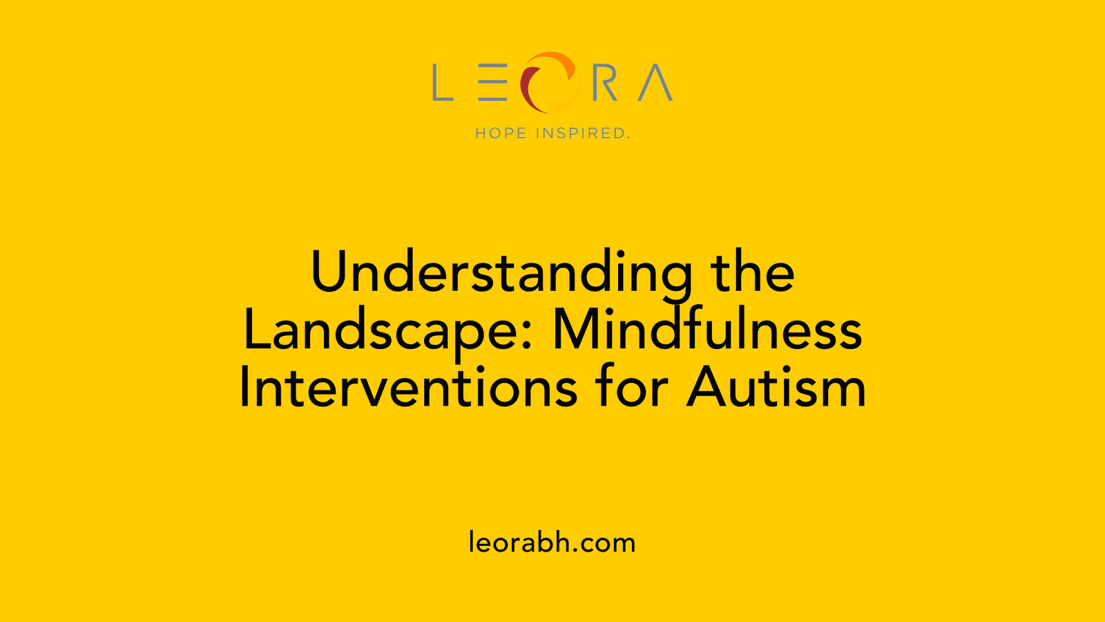 Understanding the Landscape: Mindfulness Interventions for Autism