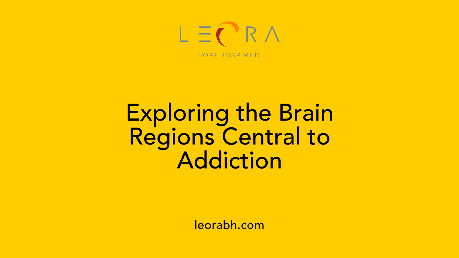 Exploring the Brain Regions Central to Addiction