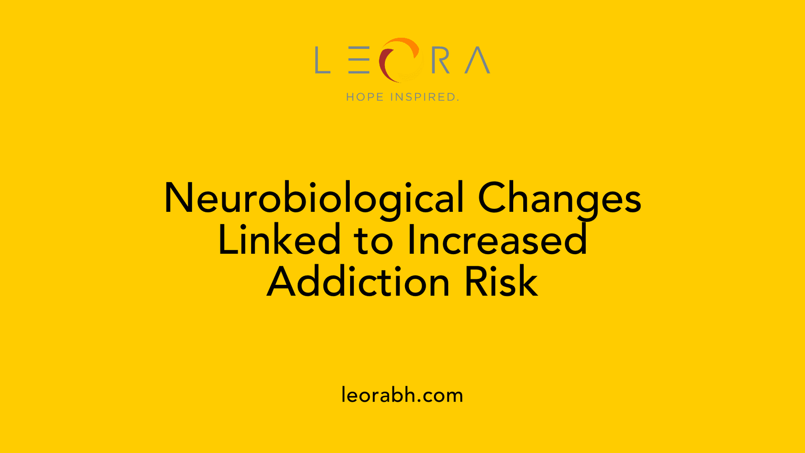 Neurobiological Changes Linked to Increased Addiction Risk