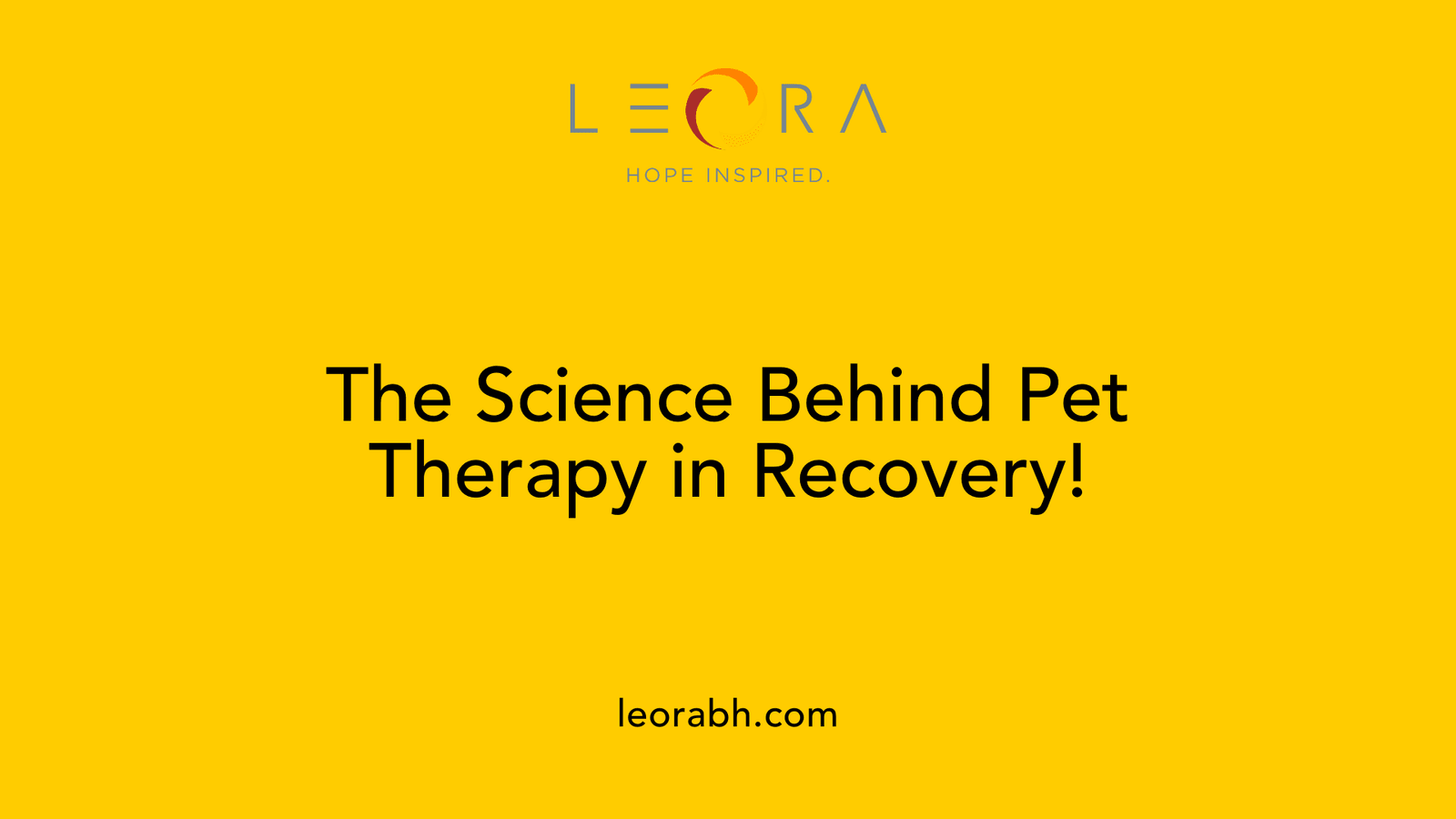 The Science Behind Pet Therapy in Recovery!