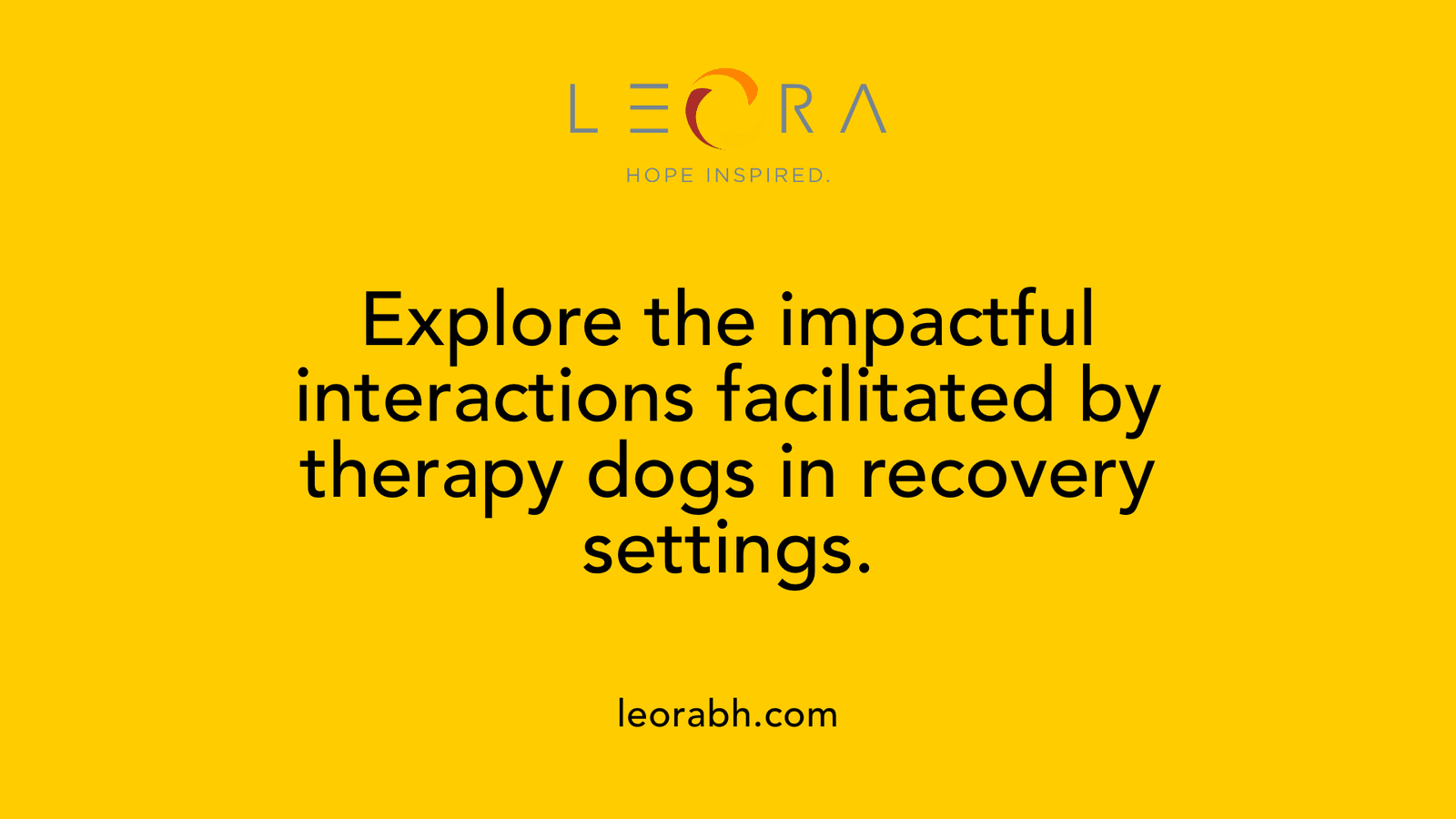 Explore the impactful interactions facilitated by therapy dogs in recovery settings.