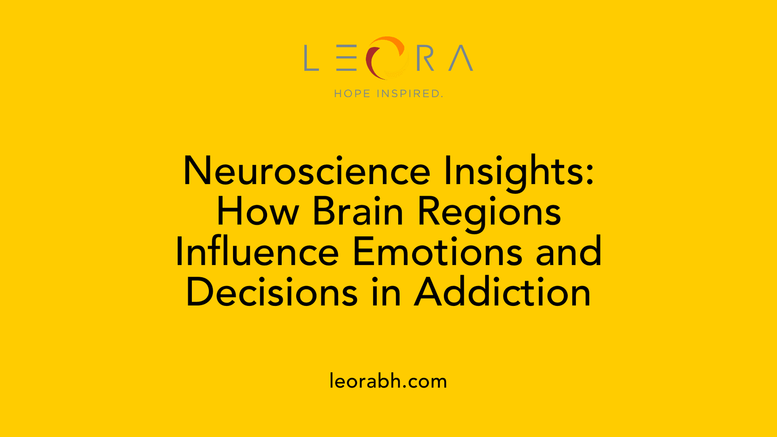 Neuroscience Insights: How Brain Regions Influence Emotions and Decisions in Addiction