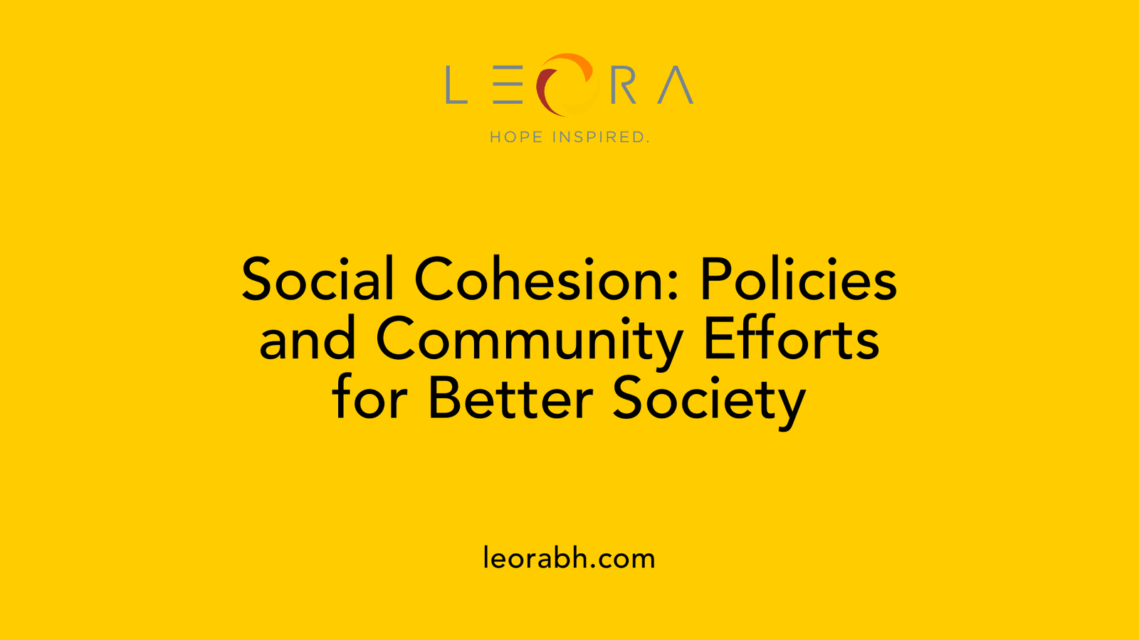 Social Cohesion: Policies and Community Efforts for Better Society