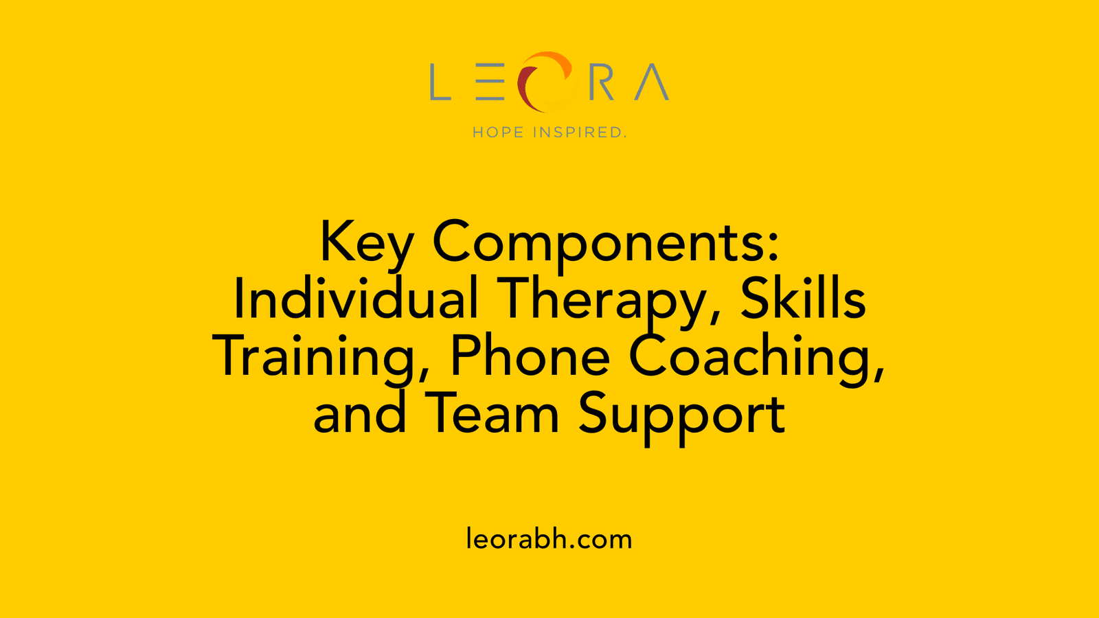 Key Components: Individual Therapy, Skills Training, Phone Coaching, and Team Support